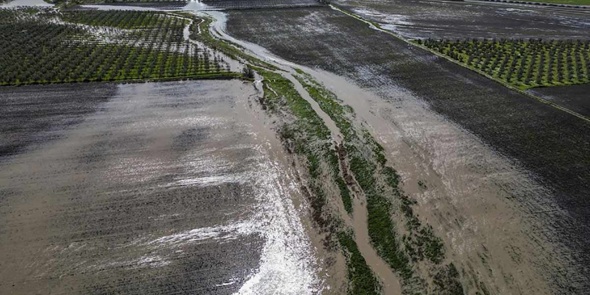 Spagna: le piogge persistenti minacciano la stagione ortofrutticola